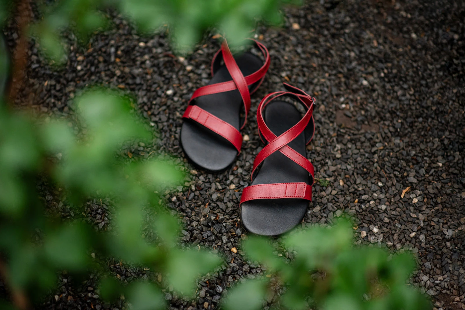 Сандалии Ahinsa Hava Barefoot — бордовый, фото 13